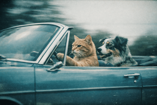 Analog film photography aesthetic; cool desaturated teal-gray monochrome palette with selective contrast; subtle film grain and light scratches; gentle cross-processed color casts at highlights; shallow depth with tilt-shift bokeh effects; low-angle cinematic framing and restrained dynamic range; nostalgic, contemplative mood
Model: openai:gpt-image-1.5