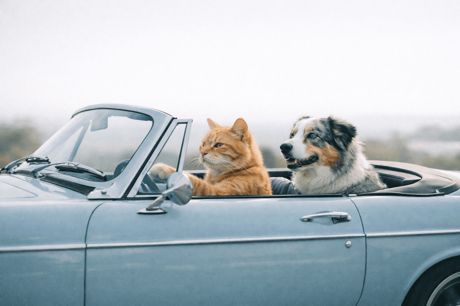 Muted photographic minimalism; cool-leaning analogous palette with restrained complementary accents; natural soft high-key backlighting; shallow depth of field with gentle bokeh; subtle film grain and fine texture; realistic photographic rendering; balanced negative space; calm documentary framing
Model: openai:gpt-image-1.5